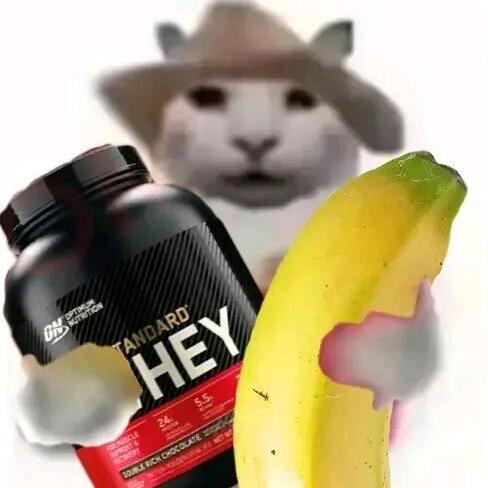 霸道女总裁爱上二婚流哈喇子的我