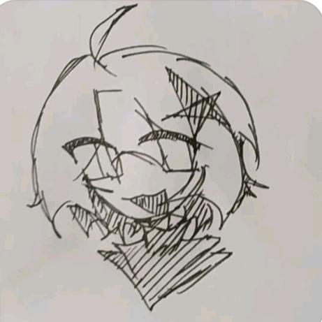 星星❛˓◞˂̵✧（本人）
