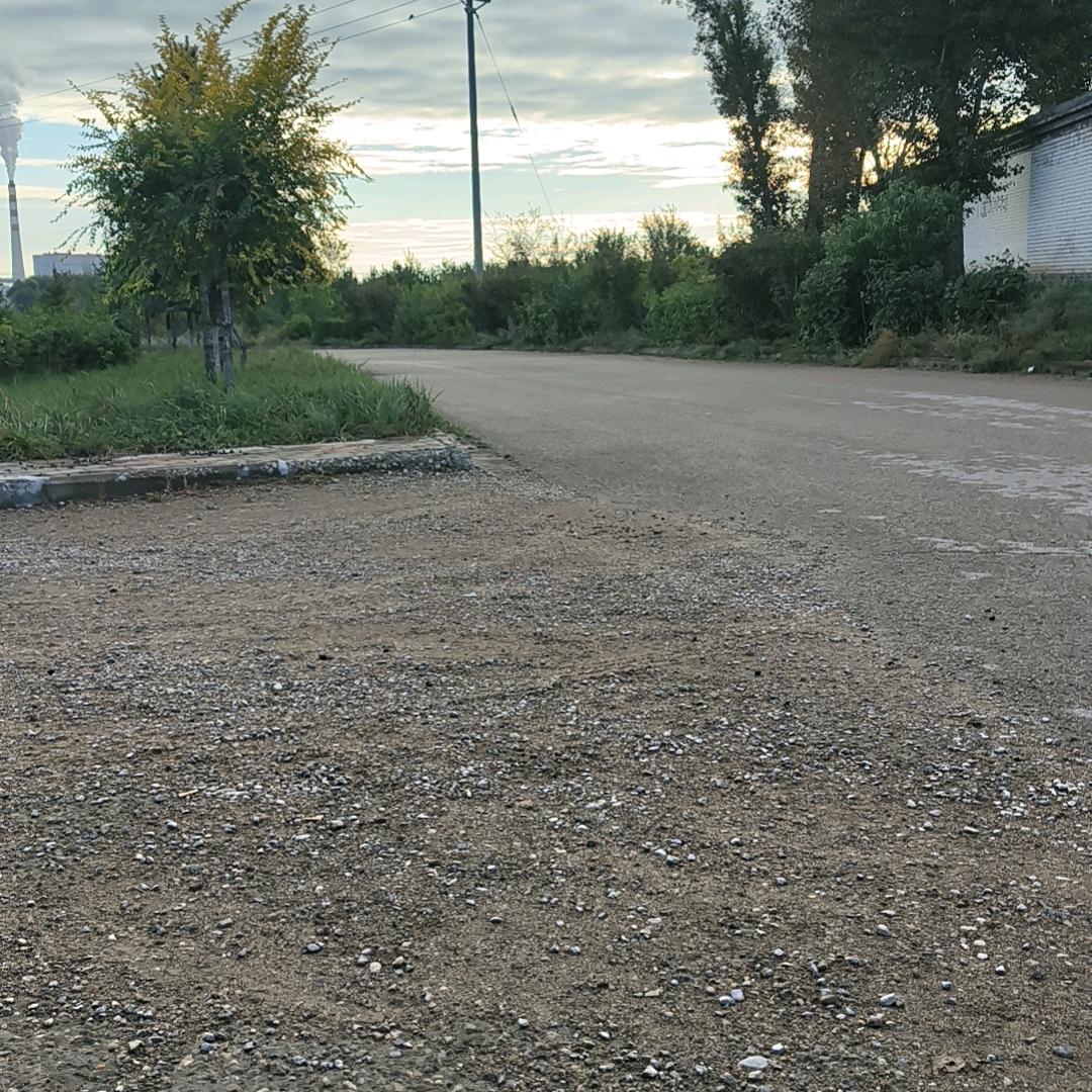 志花