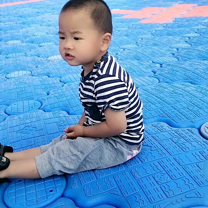 会