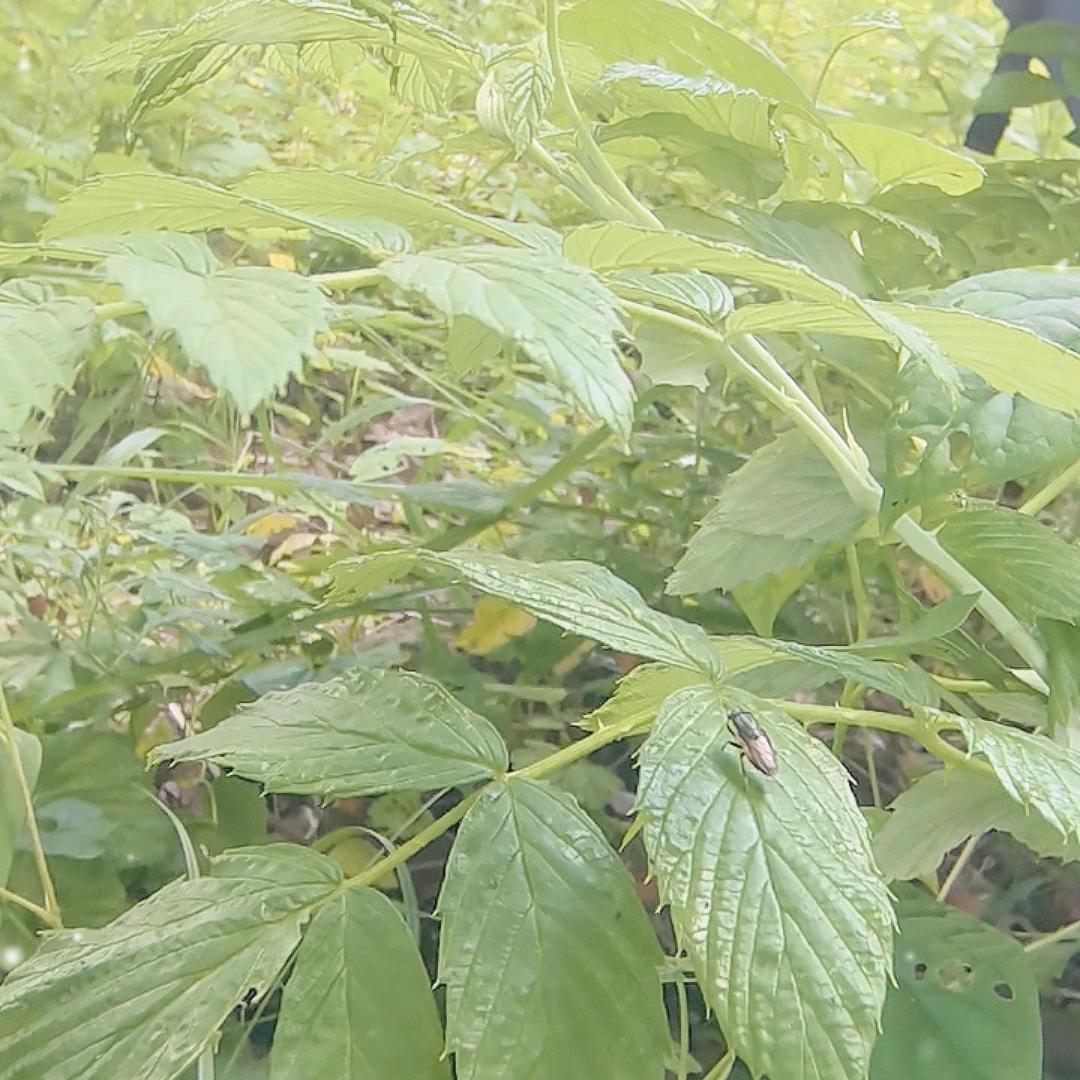 【管理号】