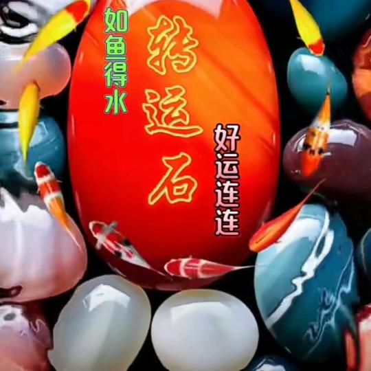 四个小孩他爸