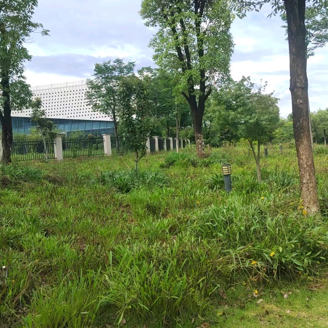 不忘初心