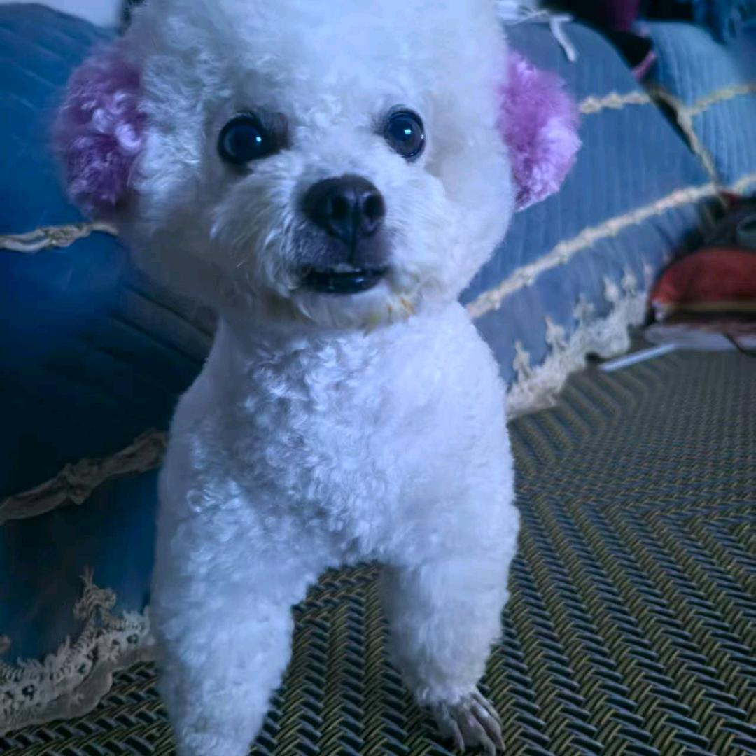 相守容易初心💔