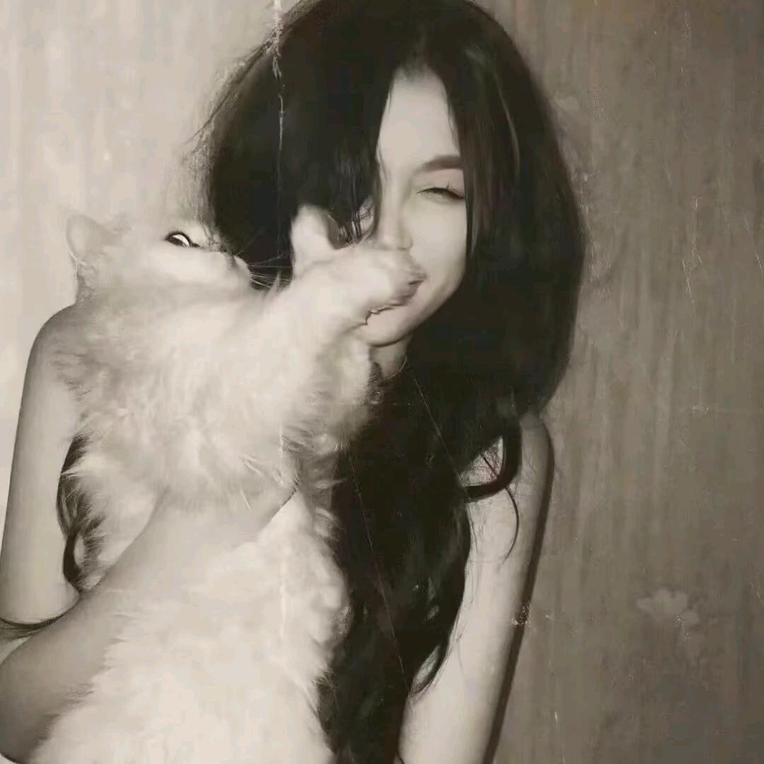 Kitty爆爆
