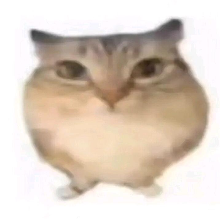 ᝰᦔ