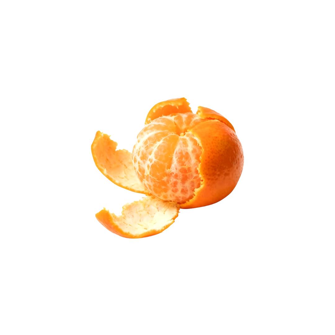 笨鸟先肥