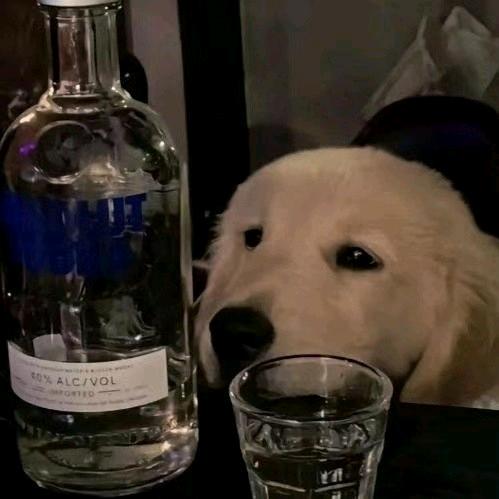 稳场