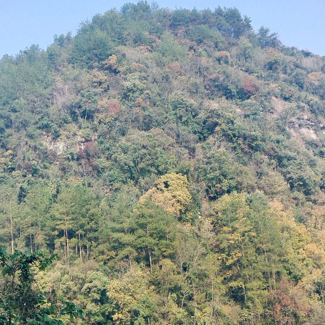 一生守候一生陪伴