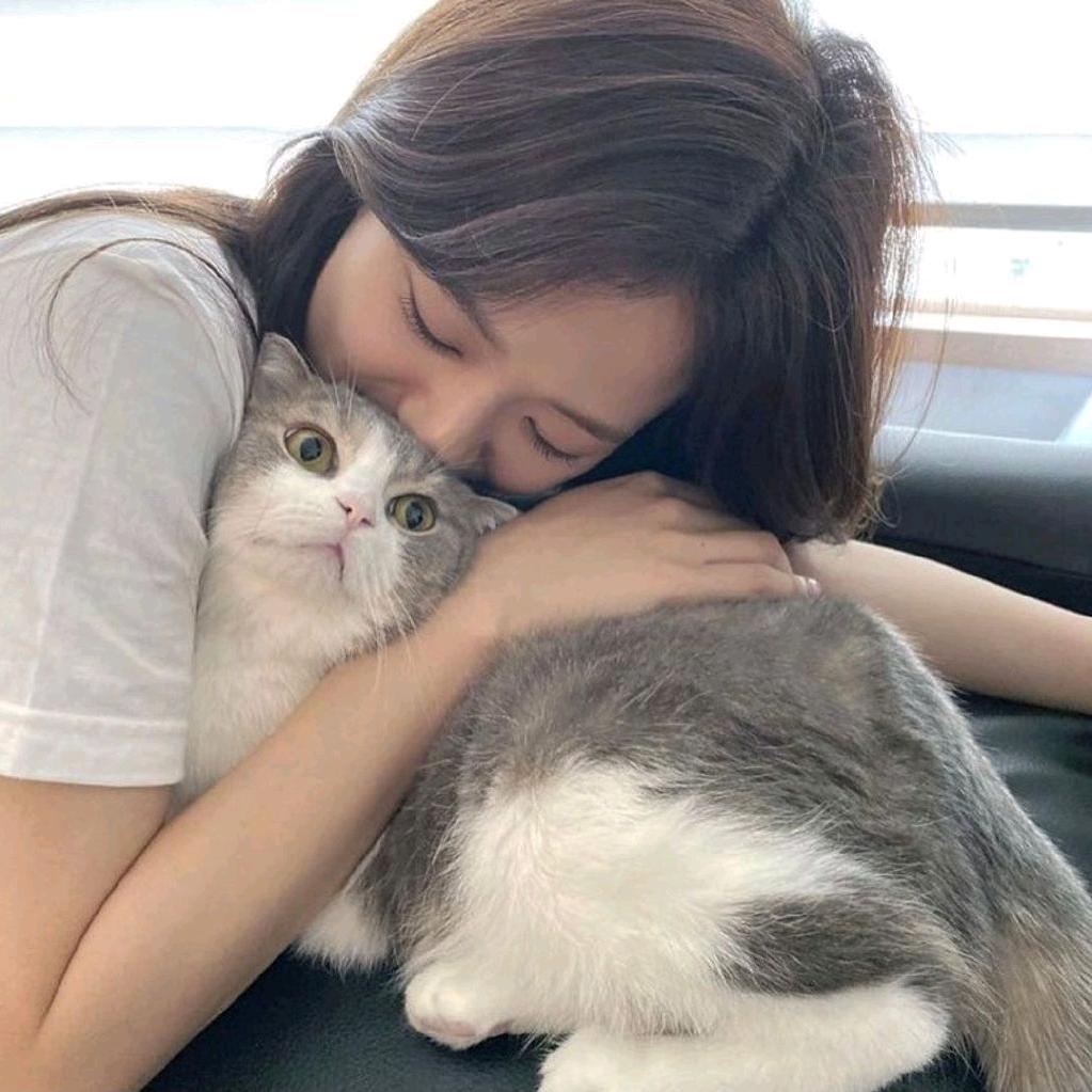 安然安然