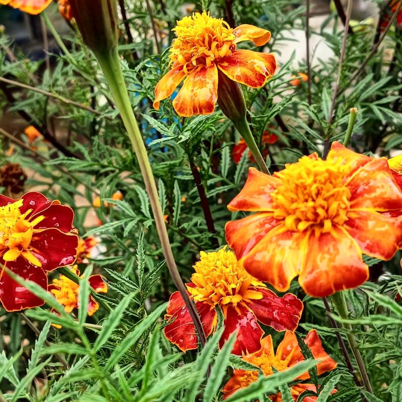 落雨无声、雪化无痕