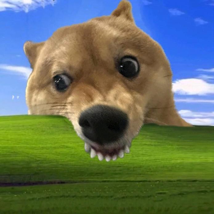 睡个好觉.