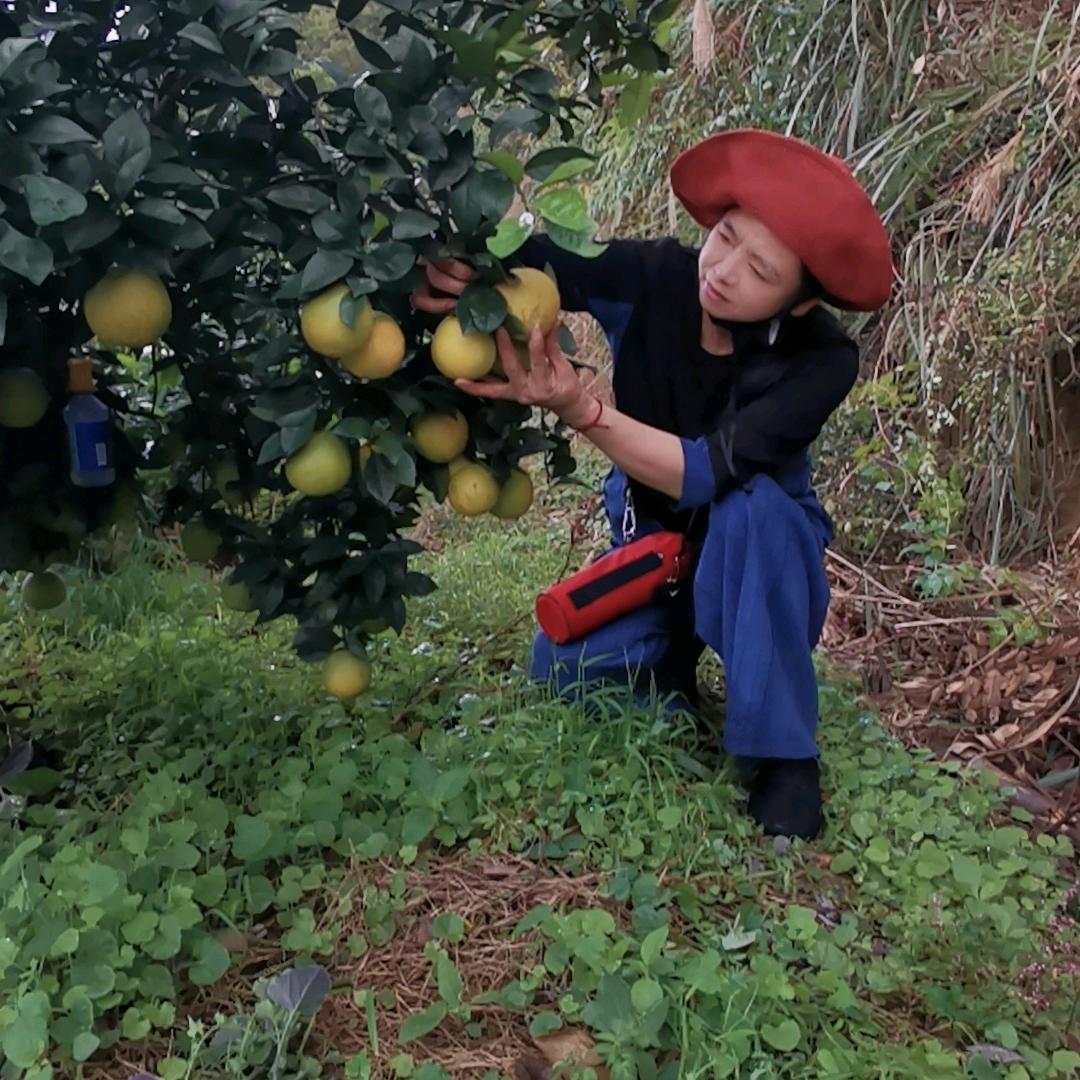 陈玉娥鹿湖电商优品小铺