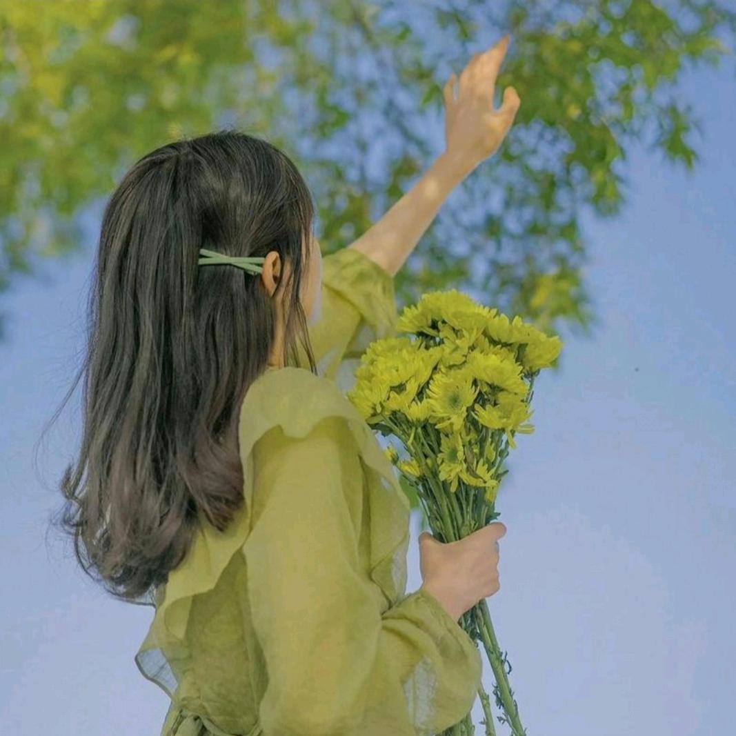 香椿树音乐