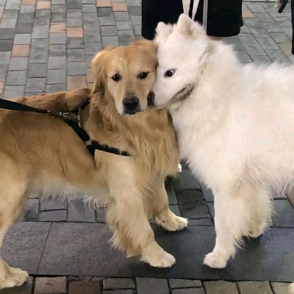 🪷雨后腥的小猫猫一枚捏🪷