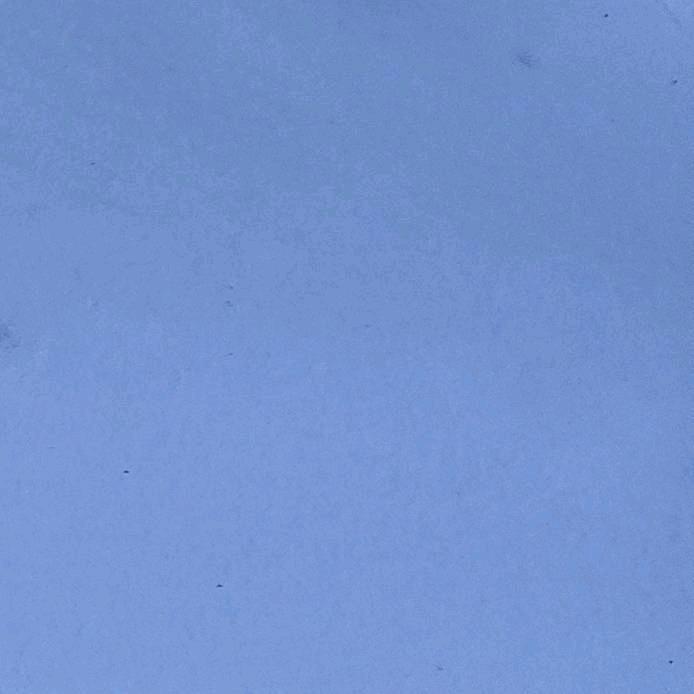 雪🌨️