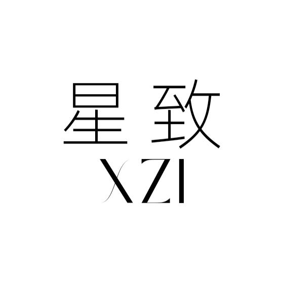 星致洗护清洁用品