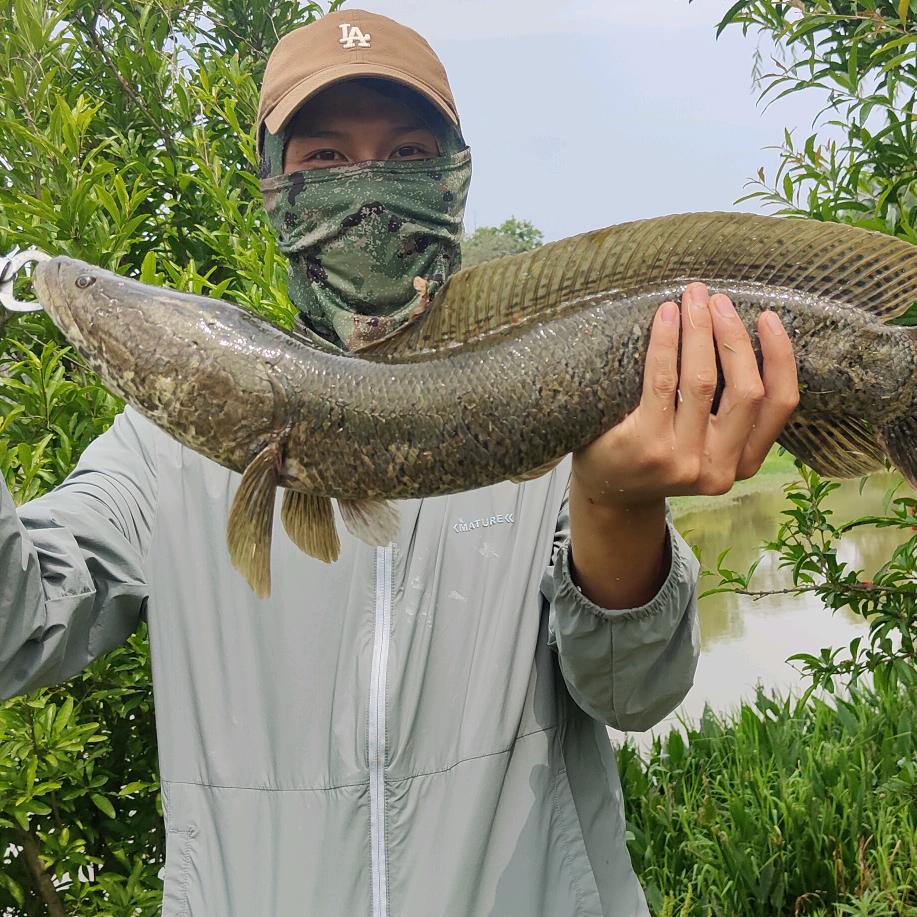 爱玩路亚的可乐