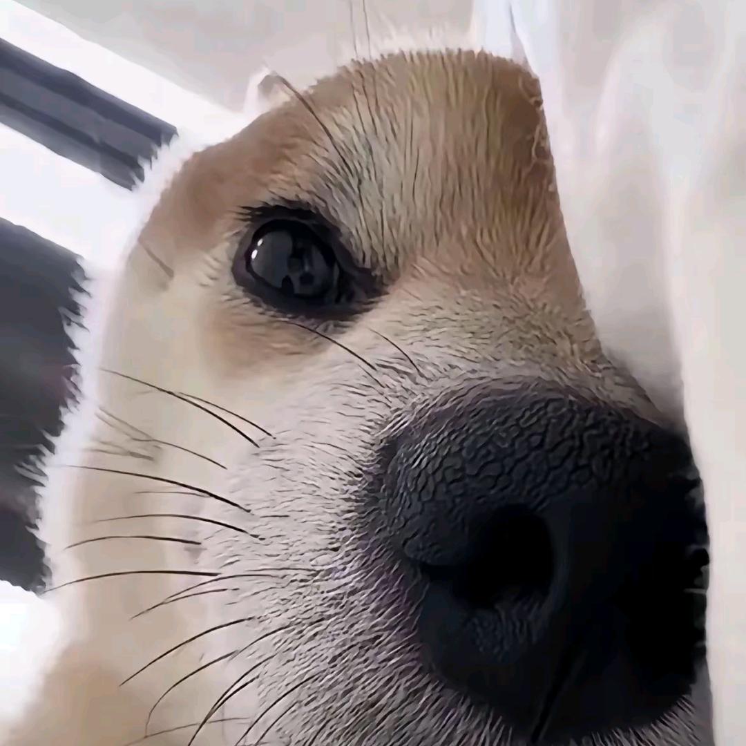 即兴&