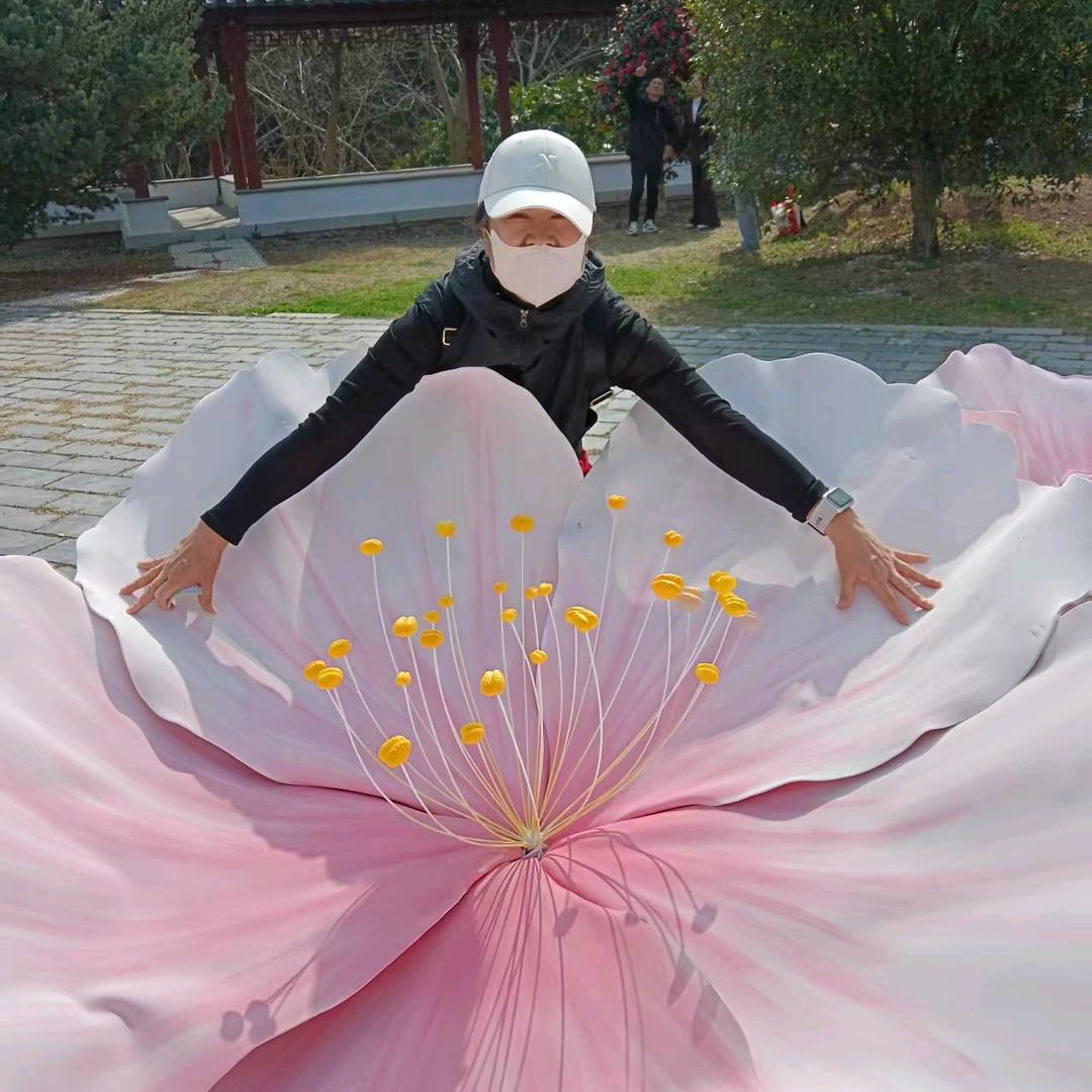 沧海一淑