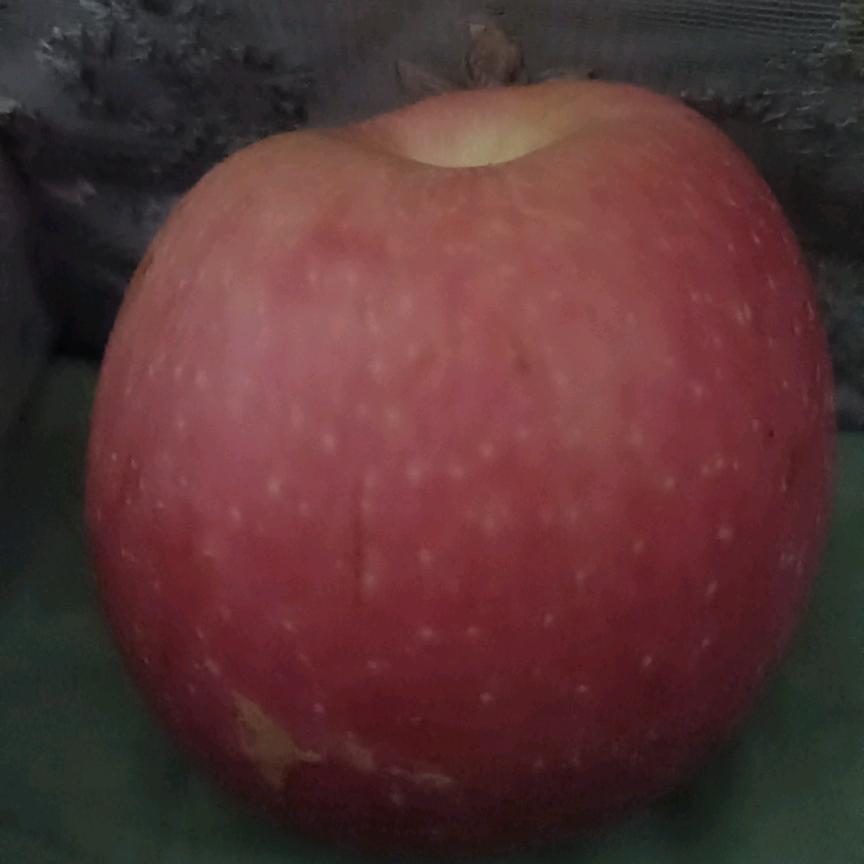 阳娇