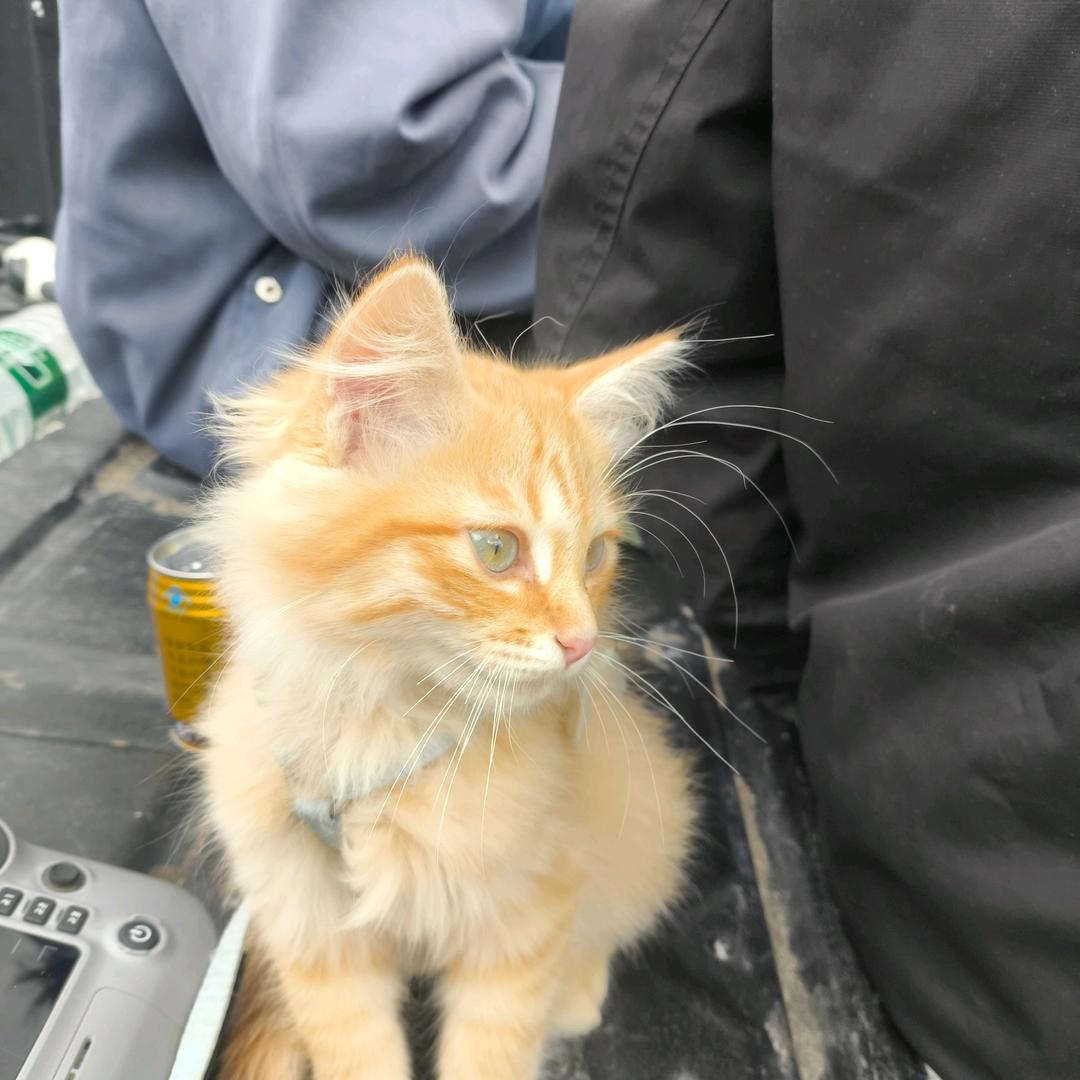 多多~(ᐢᴖ ·̫ ᴖᐢ)