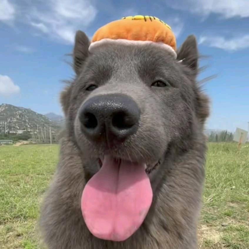 秋风散尽意难平_