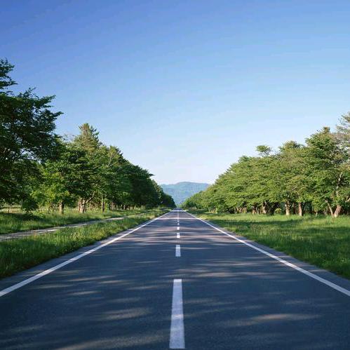 城市大哥