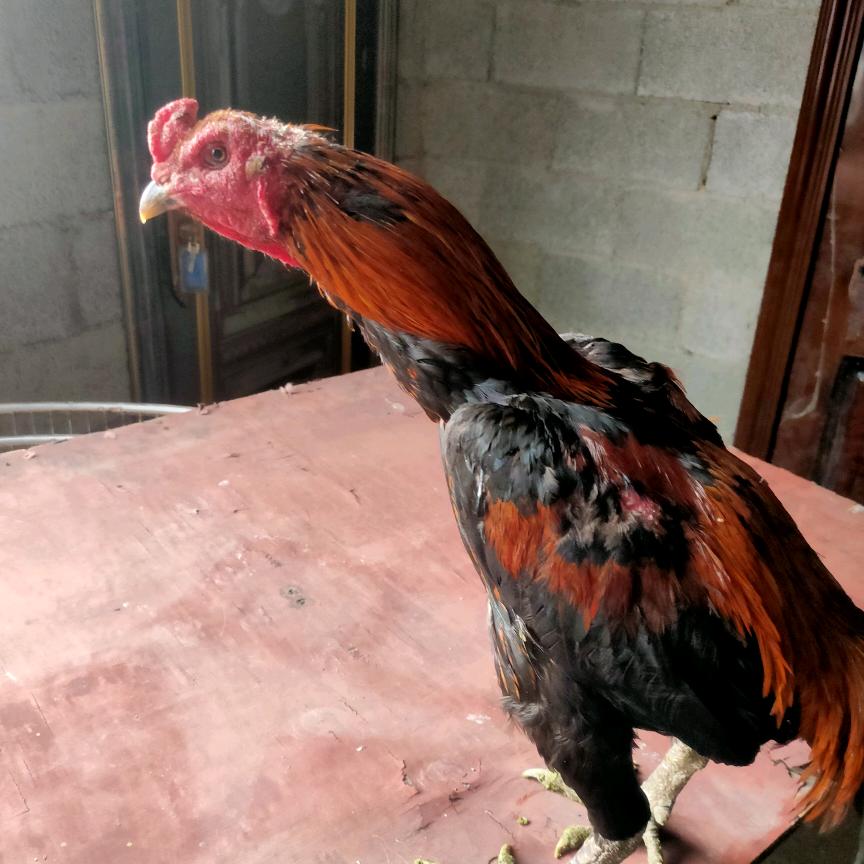 ꧁🌺钓鱼꧔ꦿ不吃鱼李℘᭄ᩚ꯭ᩚ💞