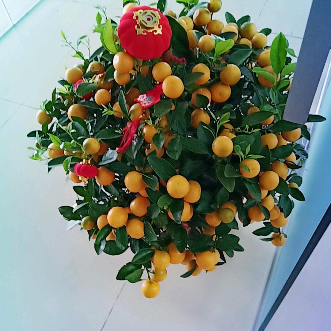 @善心加油，保持热爱，奔向前方！