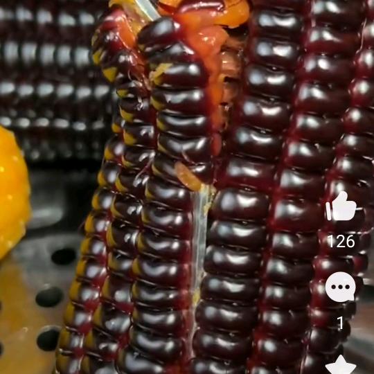 pingjie黑玉米🌽