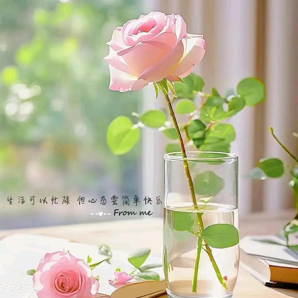 李JIAYANG女