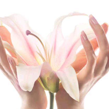 容容手工:阿胶糕＋祛湿茶