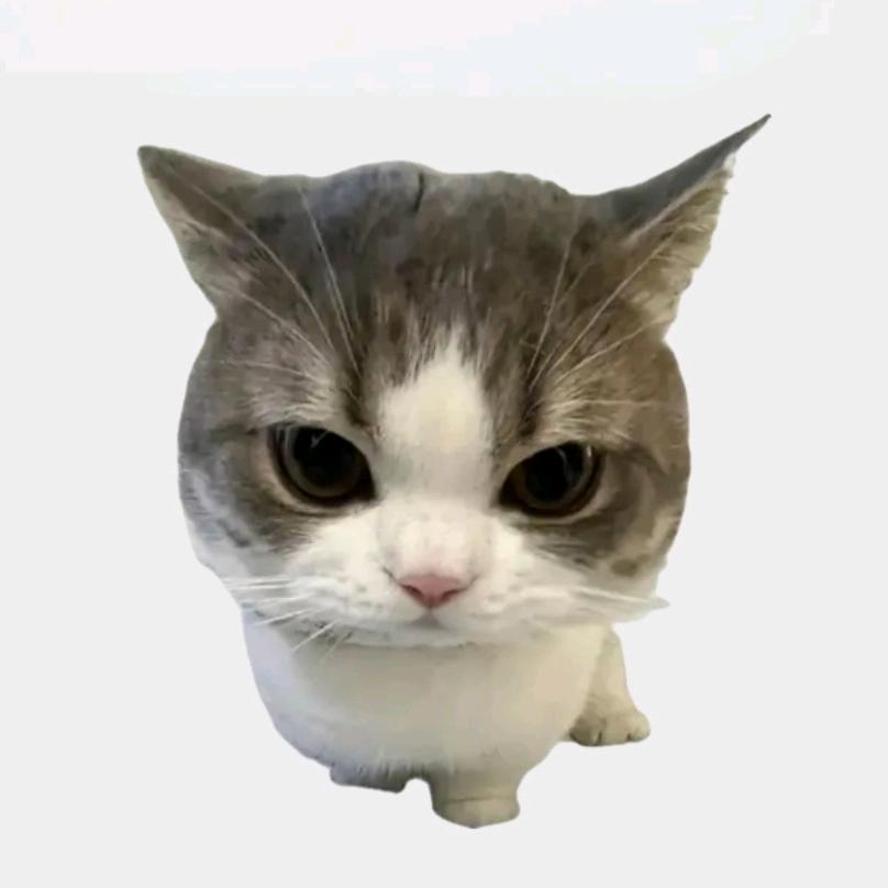 πᴼᵏ