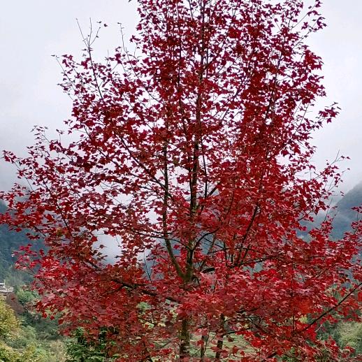 永不止步