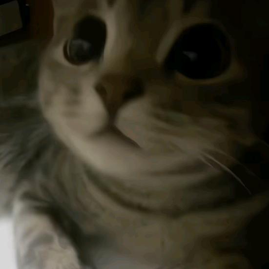 斜挎