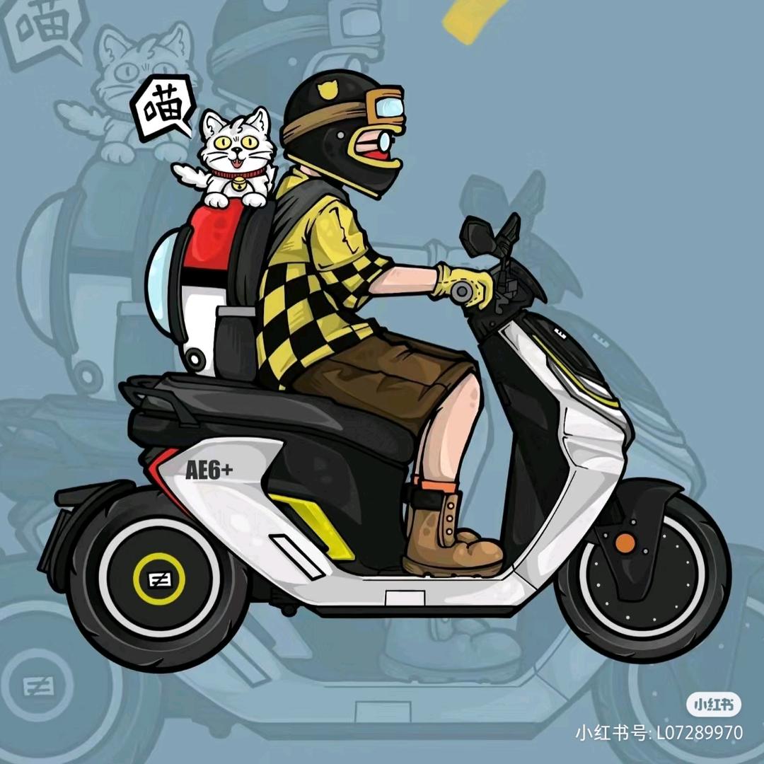 五星钻豹电动车