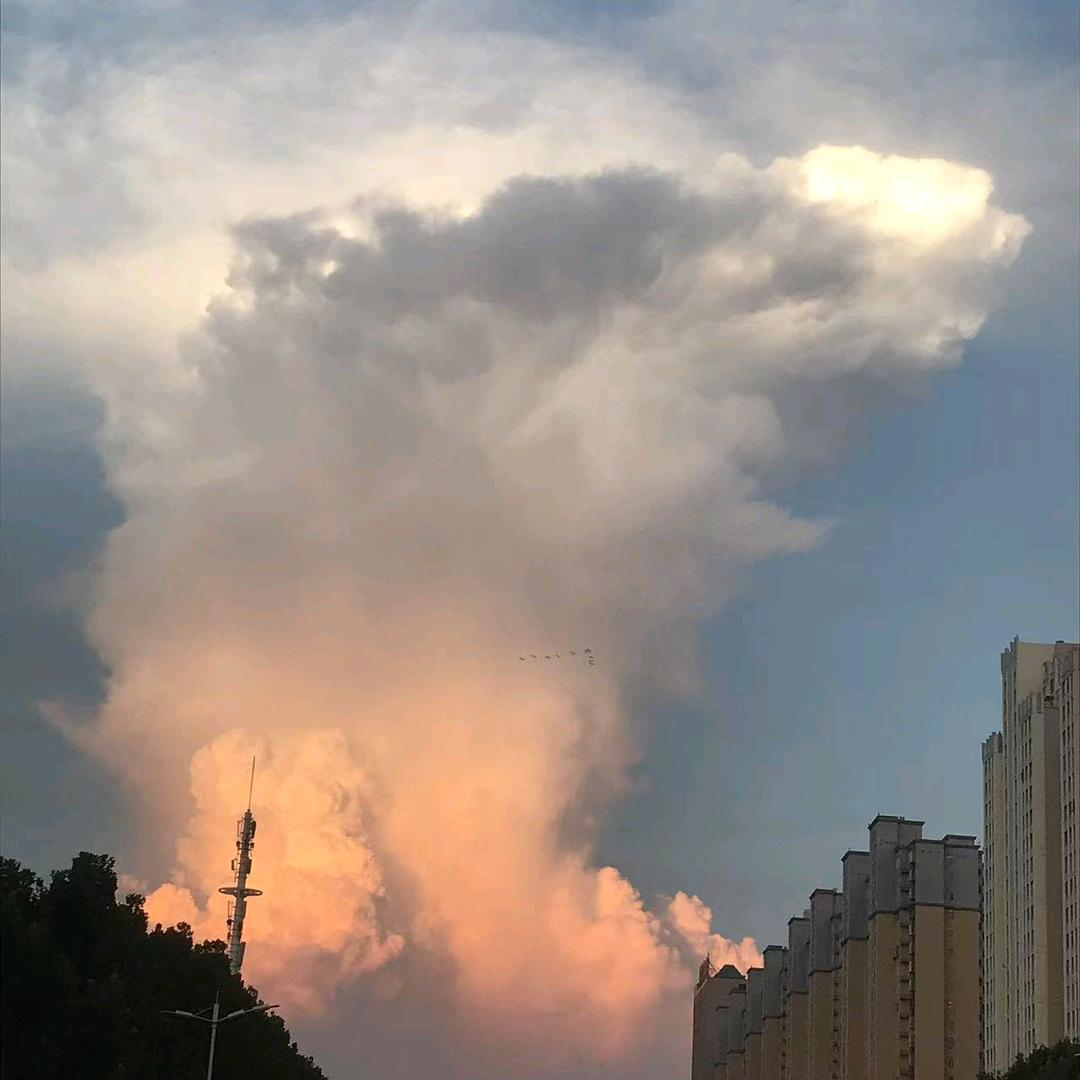 贤官百货多元好物精选铺
