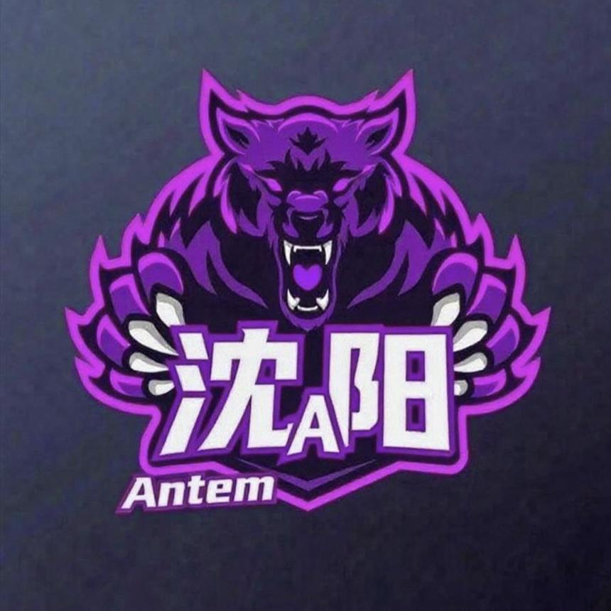 沈阳Antem