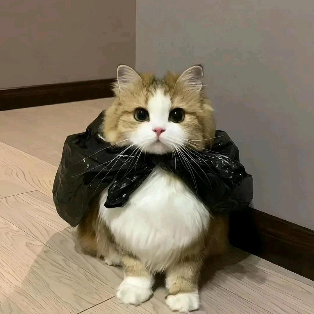 &瀠