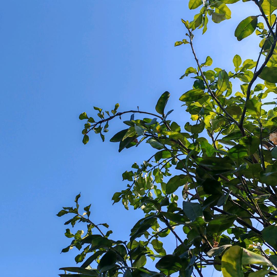 面朝大海，春暖花开
