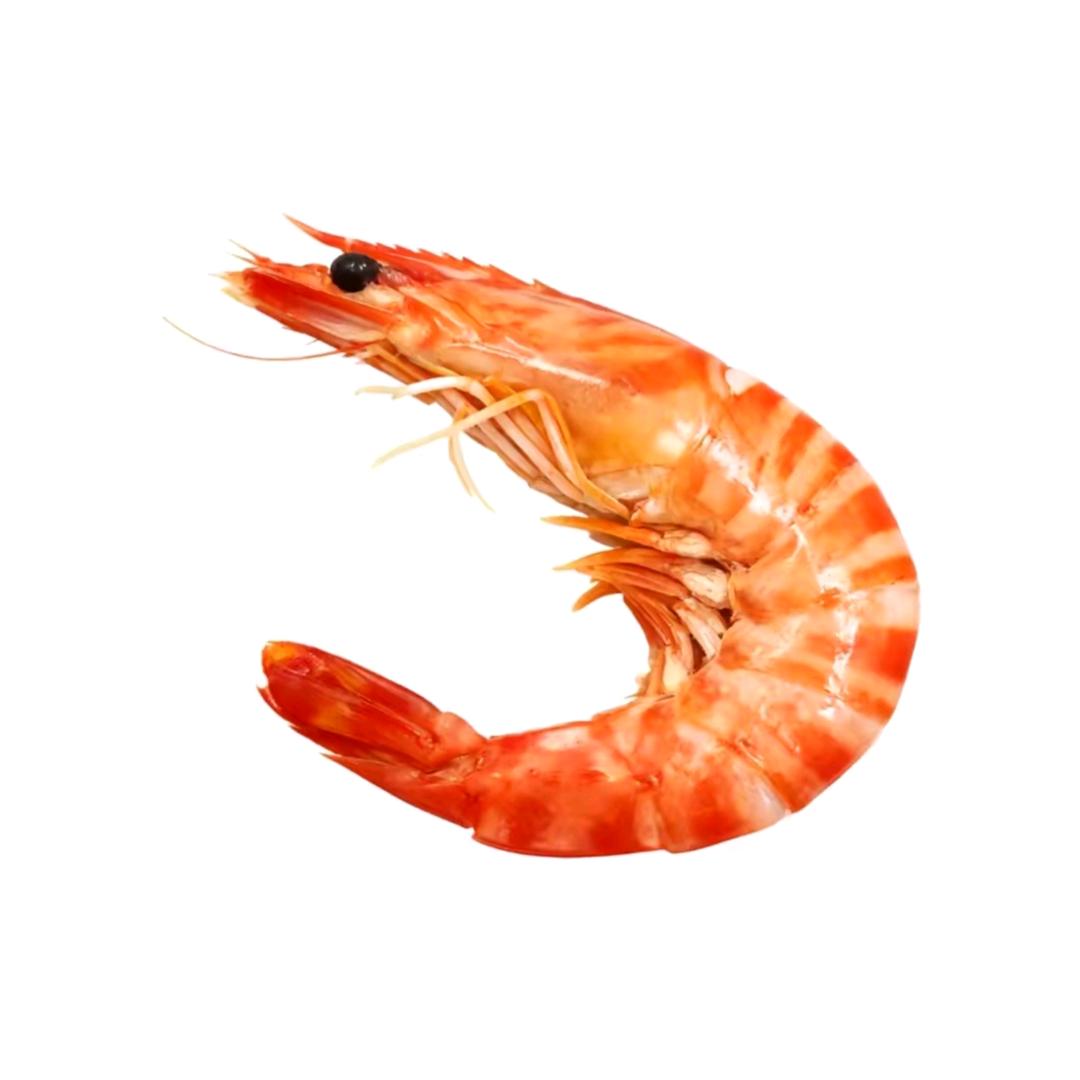 un