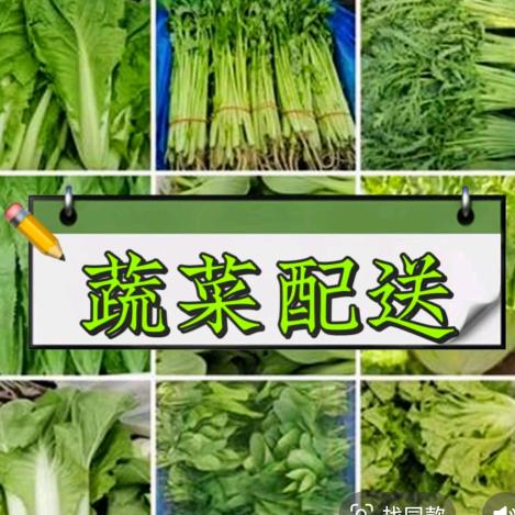 蔬菜批发免费配送上门