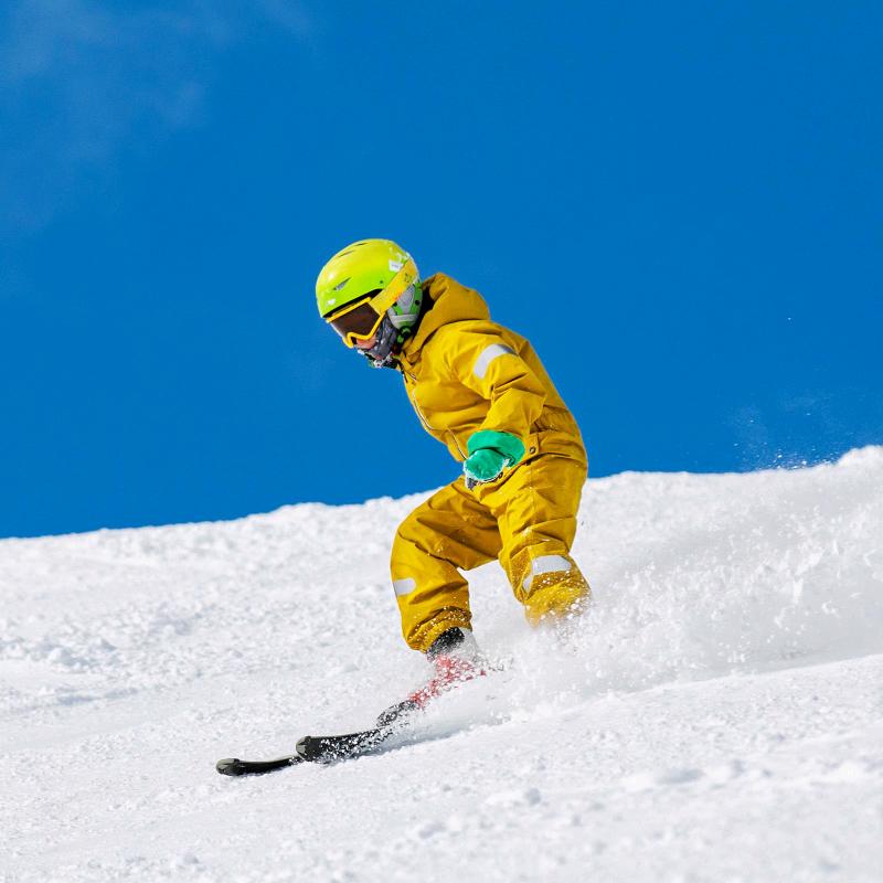 日光斜照集灵台