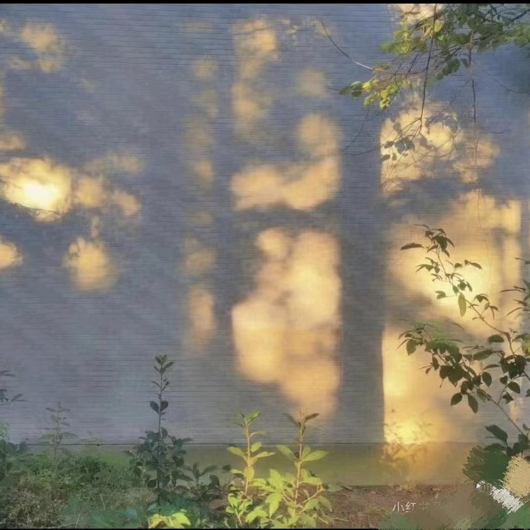 小迷糊吖