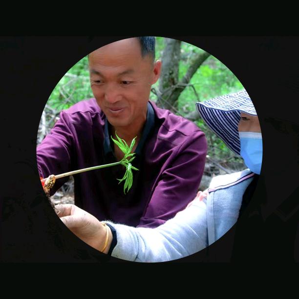 长白山二姐