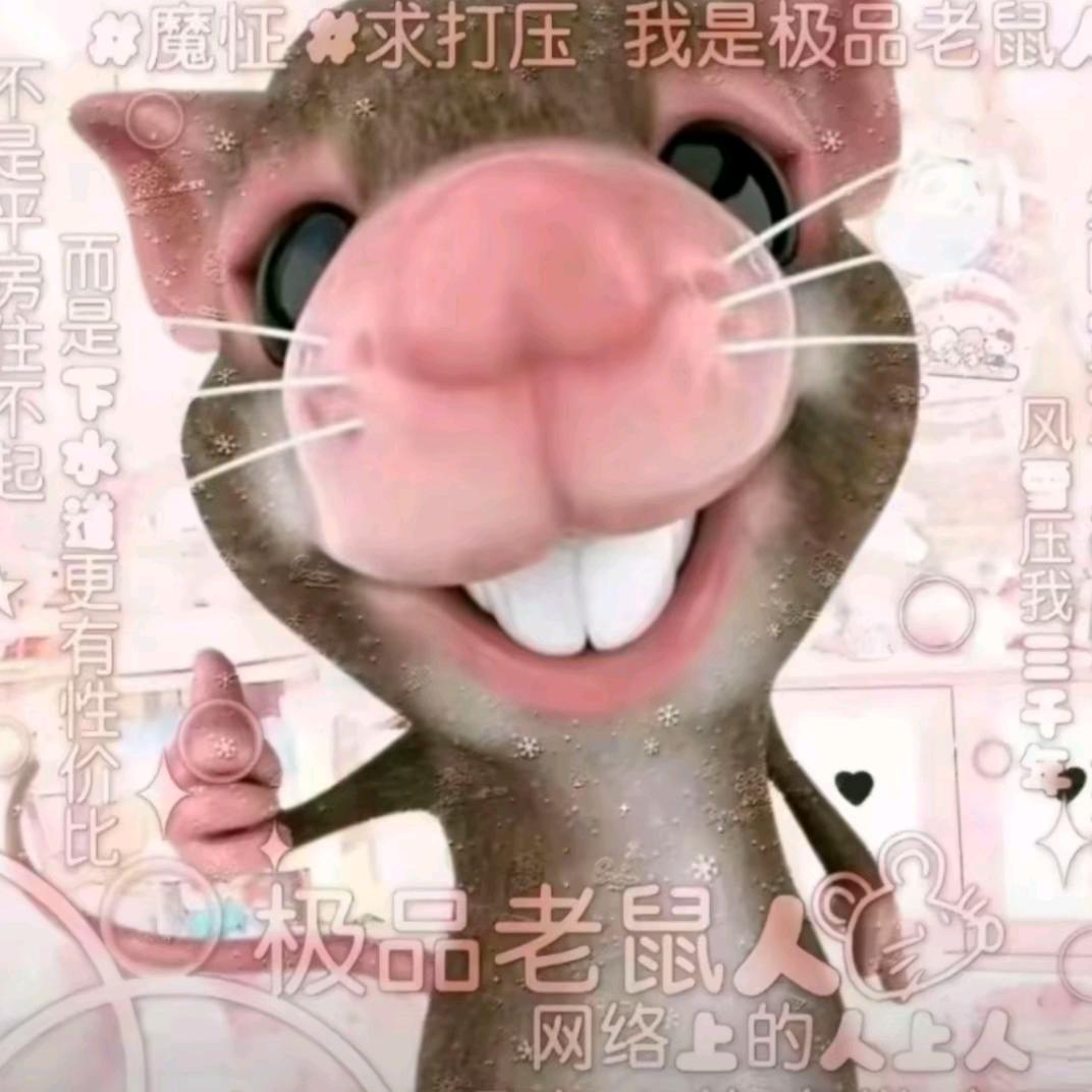 所有网名都在解释我的网名