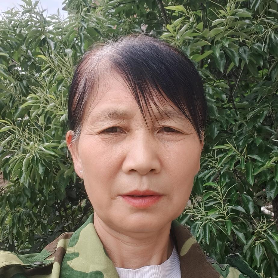 农村姐