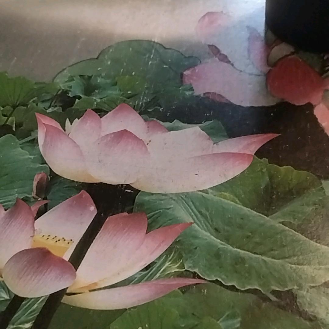 勇闯天涯