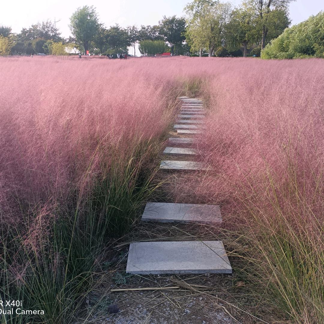 Ꭽℯ⃝落ঞᩚ幕꧔ꦿ᭄ Ꭽℯ⃝